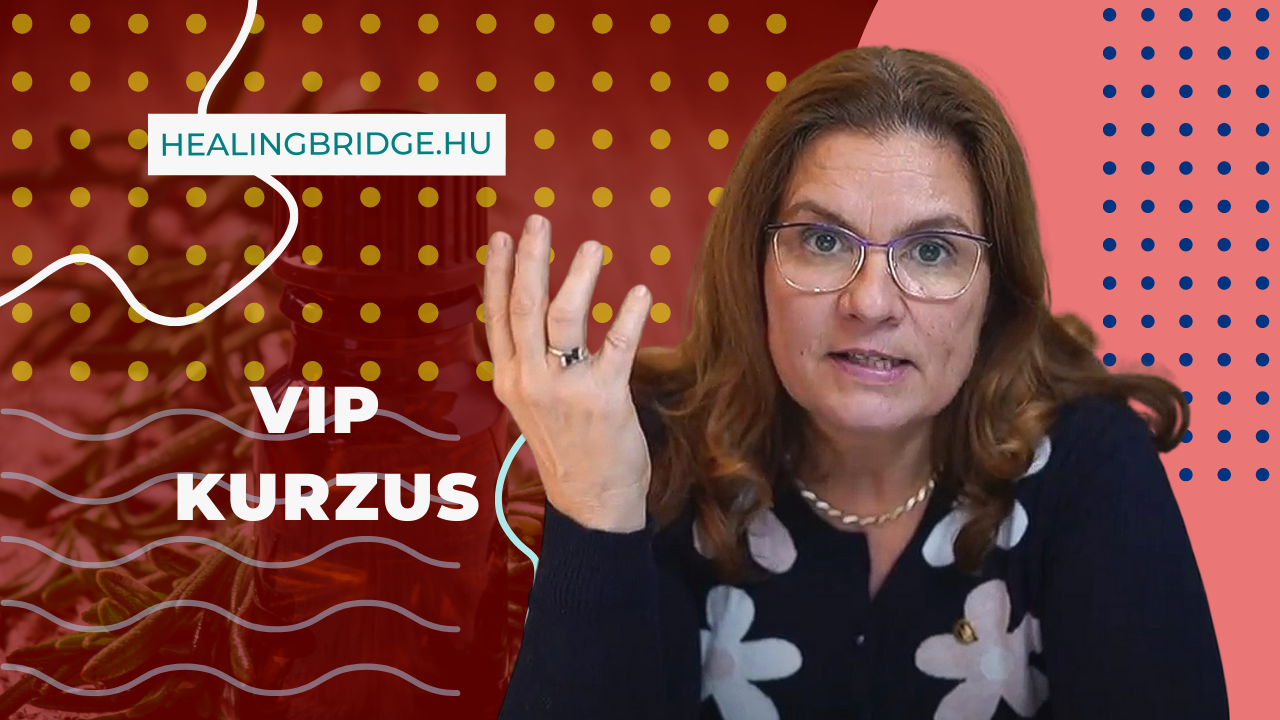 Read more about the article VIP Kurzus